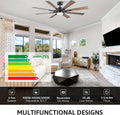 Farmhouse Black Ceiling Fan Integrated Lighting System
